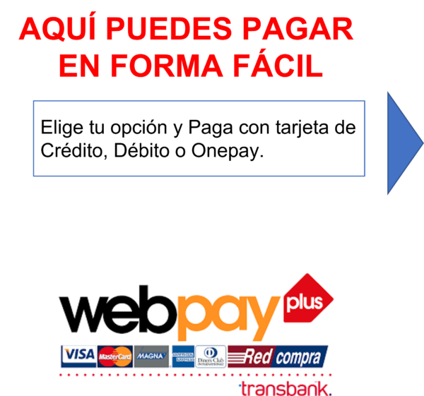 Opciones de Pago
