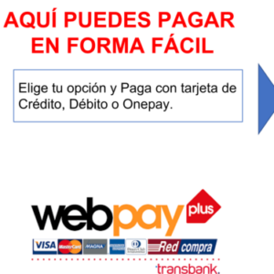 Opciones de Pago